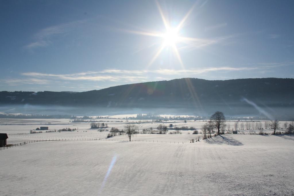 Farm stay Lassacher Biobauernhof Mariapfarr